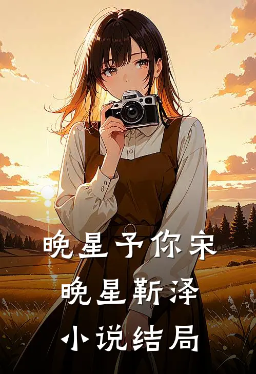 晚星予你宋晚星靳泽小说结局