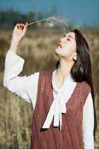 北风起时问归期火爆小说