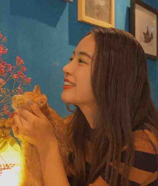 失控娇宠：宋总，夫人她想跑路了！无广告