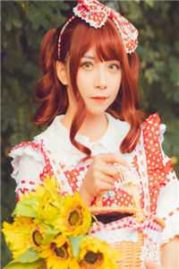 落日不曾回望我抖音热门