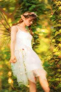 漫漫长夜终有黎明精品推荐