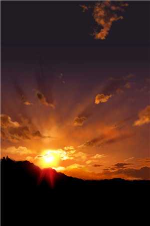 总裁，秘书大人她真没欲擒故纵免费阅读