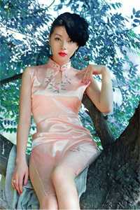 昨夜星辰昨夜风完整作品