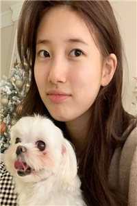 人间再无你回音小说