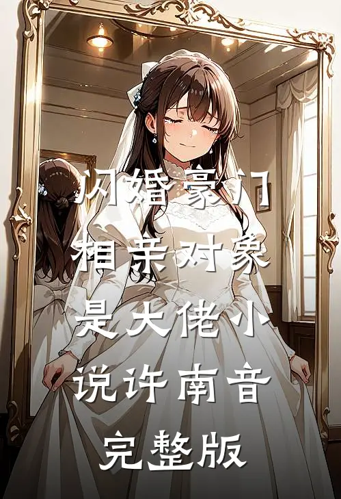 闪婚豪门相亲对象是大佬小说许南音完整版