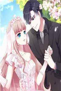 青瓦檐下旧梦残完本