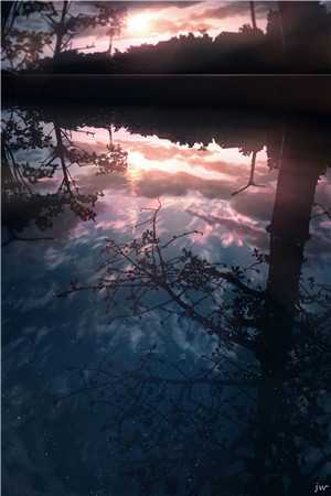 闺蜜给我保时捷动手脚导致车毁人亡，可那辆车我早就卖了全本小说推荐