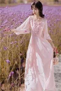 春恨却来时爽文