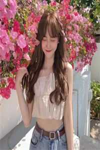 江雪何年初映人12在线阅读