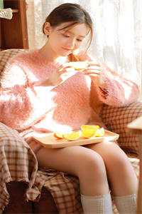 不见桐花万里路全章节阅读