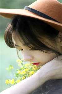 人间万数草为萤全文章节