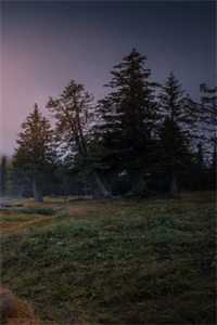 一朝并蒂生，仙途两无踪免费阅读全文