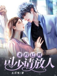 霍总，你家崽崽喊你回家追老婆前文+番外