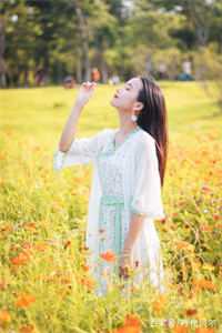 人在综武，我爆改女枭雄头目全章节阅读