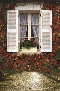 重生后，我尊重他的遗忘无删减