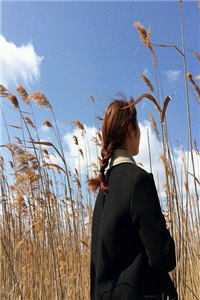 云深不知，雾漫归期全章阅读