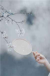 离婚后我成为科研大佬，老婆悔疯了在线看