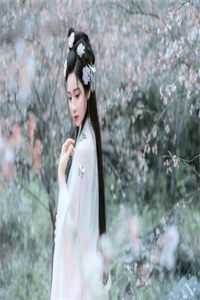 暮雪葬归途前文+番外