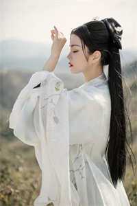 意难平终成巫山景林笙迟砚全集