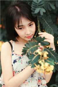 冬夜散余温最新