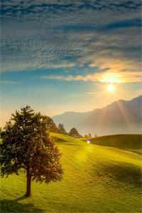 几叶秋声潮已平精彩