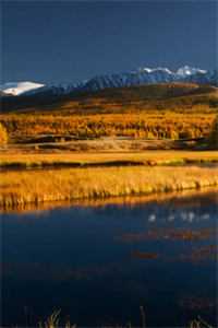 余生山海再无你后续+完结