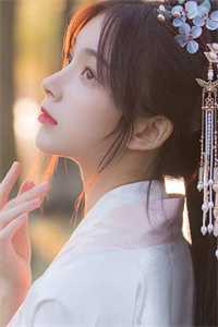 夏日回响江姜沈均全文