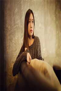 风掠长街花辞树小说畅读