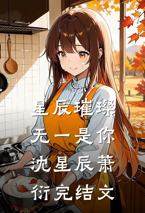 星辰璀璨，无一是你沈星辰萧衍完结文
