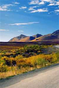 意难平终成巫山景结局+番外