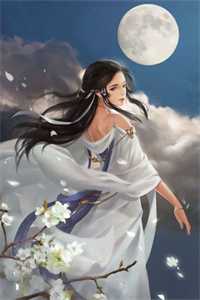 婚礼前夕，我收到妻子和他人婚纱照好看的小说推荐完结