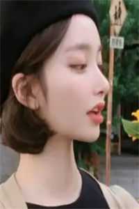 梨花枝上绵绵雪热门小说