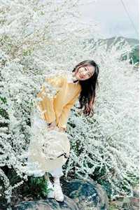 从此山河不逢君小说在线阅读免费