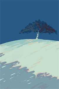 浮生唯他是遗憾精品推荐