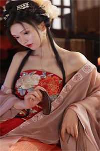 长安雪落满京华精品推荐