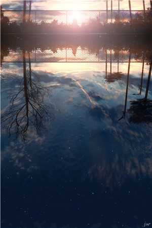 被嫌弃的我成了王府的独宠主母！顾希沅萧泫全文免费