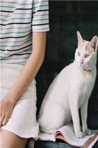 青瓦檐下旧梦残火爆小说