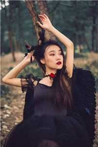 港南华灯夜未央好看的小说推荐完结