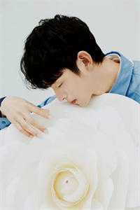 枯木逢春千山过最新章节列表