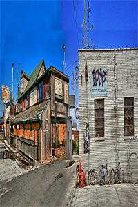 枯木逢春我逢你完整文集阅读