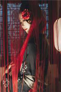 同我渡朝，许我星明火爆小说