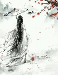 晚风寄往无尽夏全文阅读最新