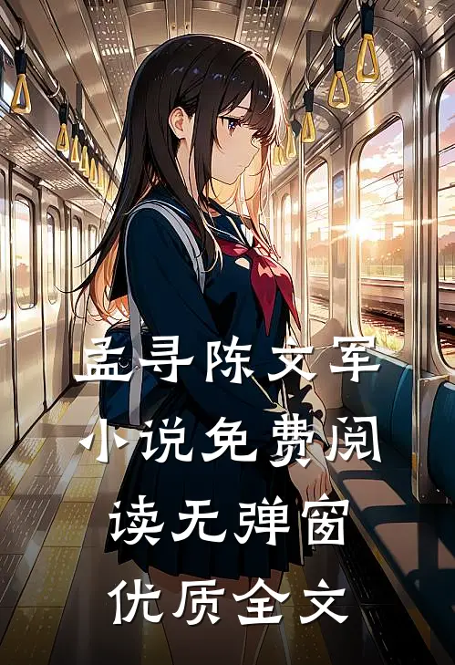 孟寻陈文军小说免费阅读无弹窗优质全文