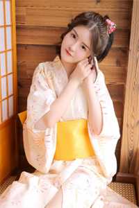 晚风寄往无尽夏无删减