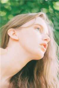 候鸟向北，铃兰向南最新热门小说