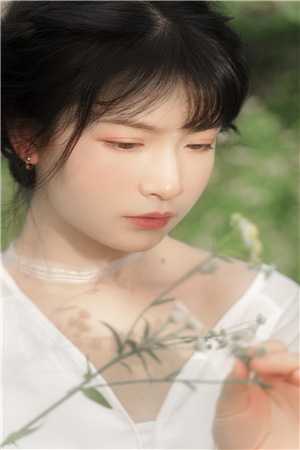 那年风月再无影番外+无删减