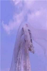 君心寥寥，我自昭昭好书