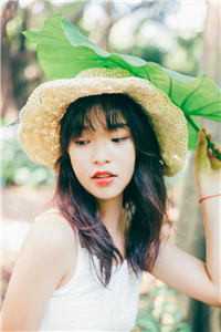 半盏清欢半盏伤热门推荐