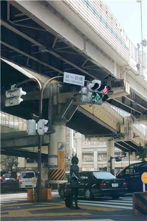 我成了现代鲁滨逊后，全家都悔疯了全文阅读最新