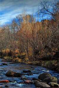 被后妈凌虐致死后，我爸杀疯了无弹窗